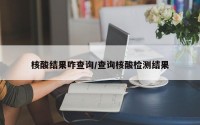 核酸结果咋查询/查询核酸检测结果