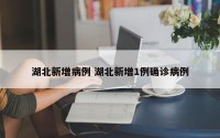 湖北新增病例 湖北新增1例确诊病例